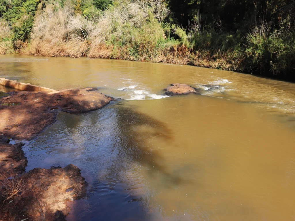 By: Ing. Abelardo Toledo