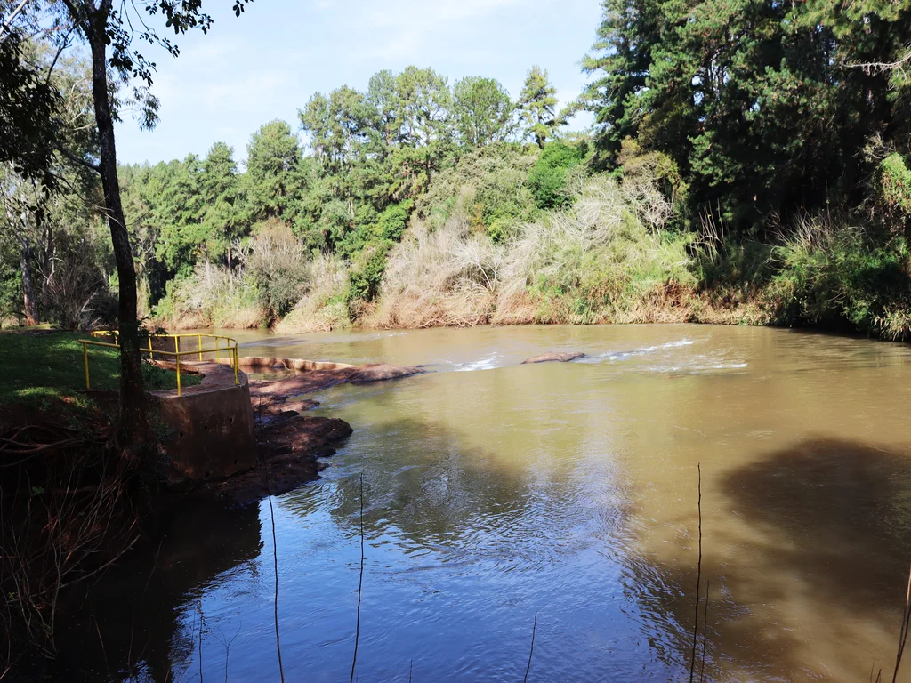 By: Ing. Abelardo Toledo