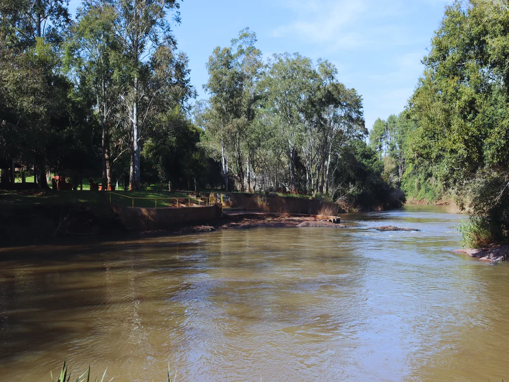 By: Ing. Abelardo Toledo