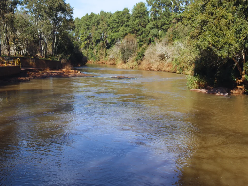 By: Ing. Abelardo Toledo