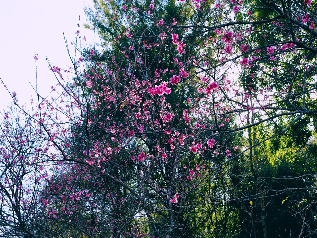 By: Ing. Abelardo Toledo