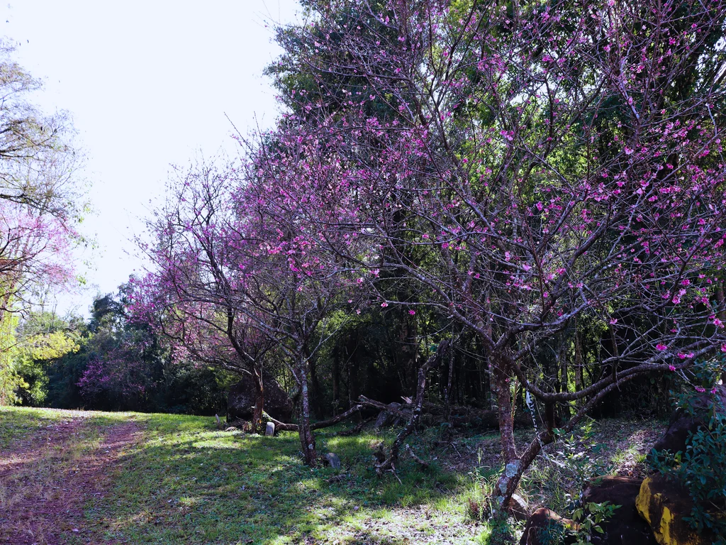 By: Ing. Abelardo Toledo